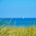 A sailboat on Lake Michigan in the background with beach grass in the forefront.