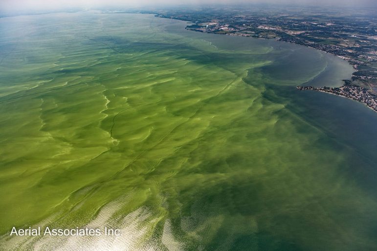 Harmful Algal Blooms: A Nationwide Concern