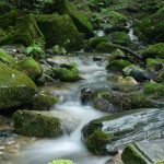 River with water running over rocks