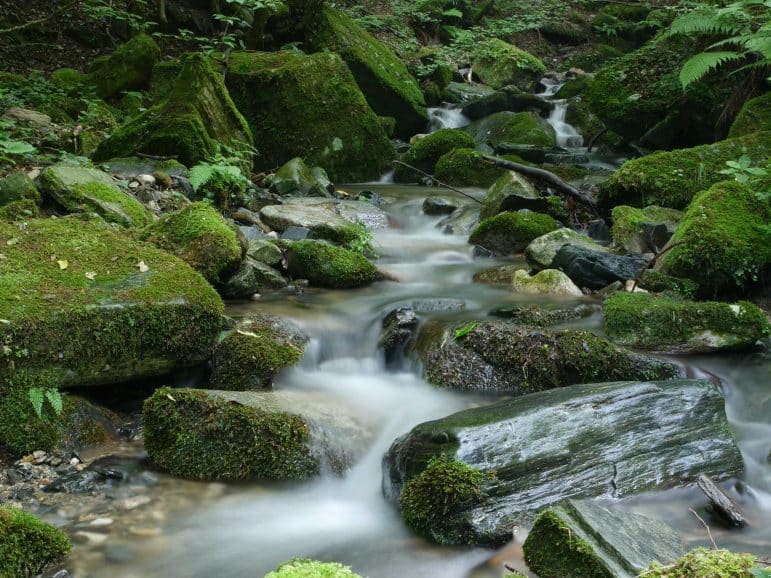 River with water running over rocks