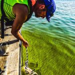 LimoTech Engineer Ed Verhamme sampling HABs in Lake Erite for 2019 HABs Grab