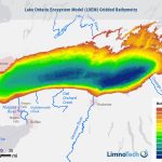 Lake Ontario Ecosystem Model (LOEM)