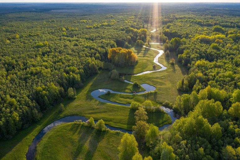 River in the center with riparian and forest land on both sides.