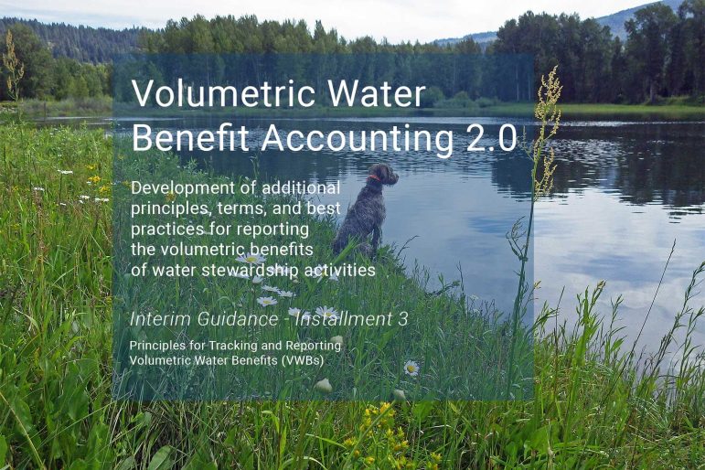 iver in the center with riparian and forest land on both sides. Text on top of photo. Volumetric Water Benefit Accounting 2.0. Development of additional principles, terms, and best practices for reporting the volumetric benefits of water stewardship activities. Interim Guidance - Installment 3. Principles for Tracking and Reporting Volumetric Water Benefits (VWBs).