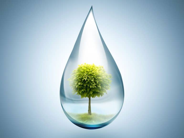 Water droplet with an image of a tree and grass inside.