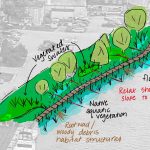 A concept sketch of a vegetated swale next to a waterbody that has root wads/woody debris, native aquatic vegetation, a gently sloping shoreline, and floating docks.