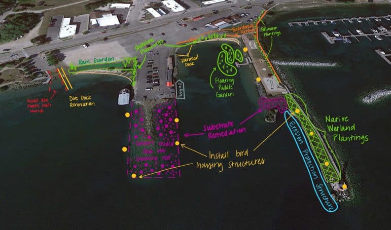A concept sketch that transforms a parking lot and marina area into a more natural space with shoreline plantings, rain gardens, bird housing, floating gardens and dock areas.