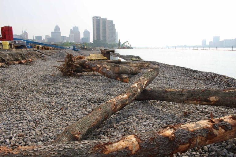 Ralph C Wilson Park construction image with root wads for aquatic habitat restoration place along the shore of the Detroit River.