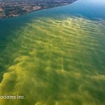 Aerial image of a harmful algal bloom in the western basin of Lake Erie