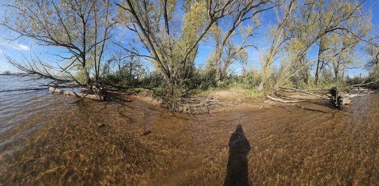 The Bay City Creek delta shown in this photo has two woody headlands secured by willow trees