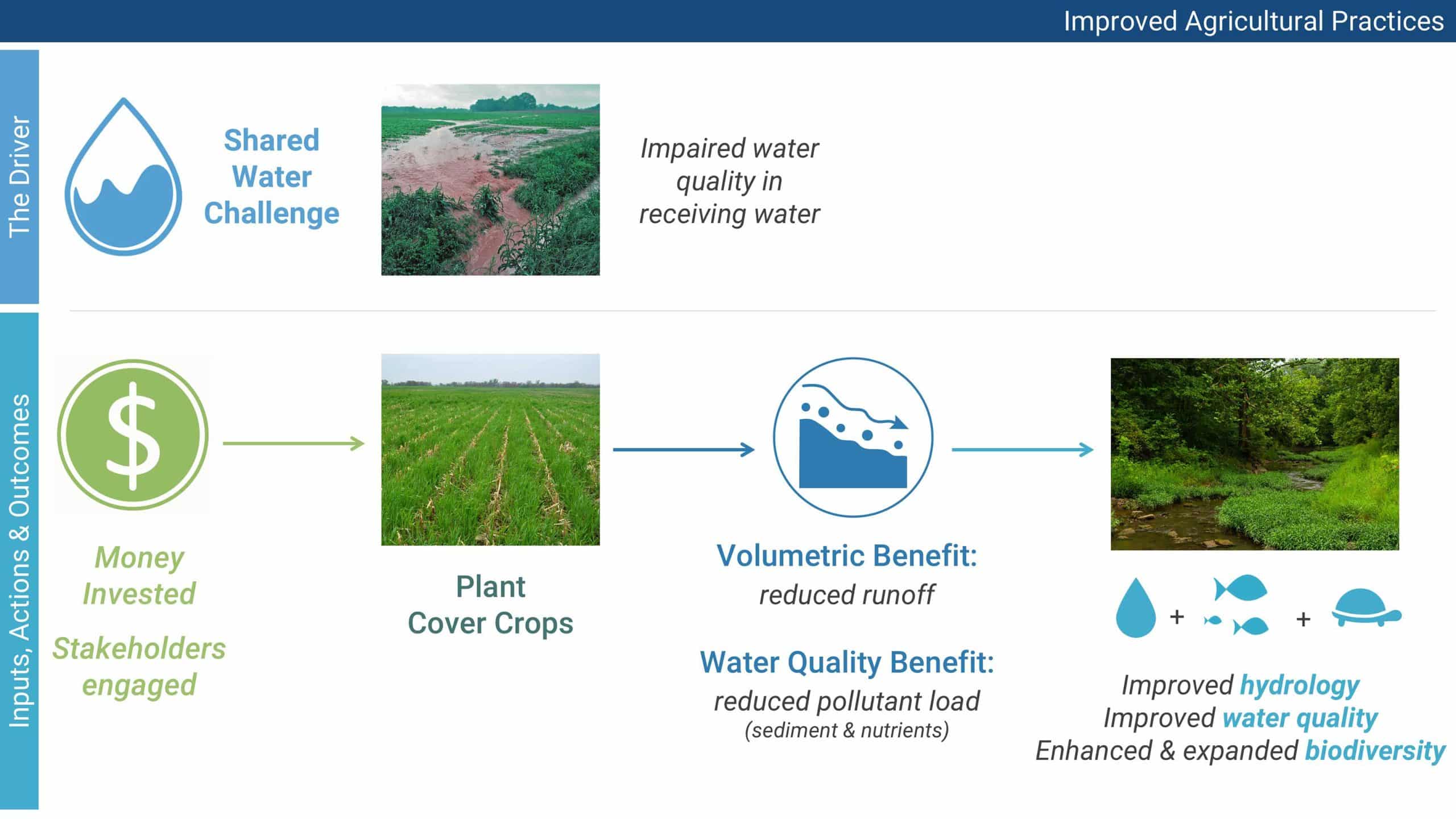 A graphic that illustrates the benefit of improved agricultural practices. At the top it states a shared water challenge of impaired water quality in receiving water. Below is a mix of icons and images that illustrate the money invested, planting cover crops, a volumetric and water quality benefit that results in improved hydrology and water quality and enhanced and expanded biodiversity.