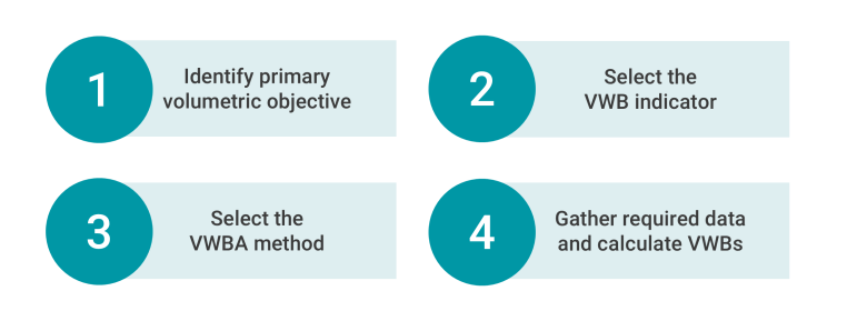 A diagram of the VWBA 2.0 quantification process that has four steps.