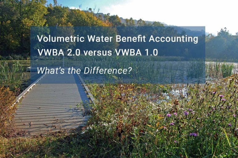 Wetland in the background with a dock. Text is overlaid that says, 