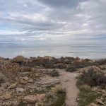 Great Salt Lake, Utah. Image of rock, sand, and vegetation in the foreground and the lake in the background with cloudy skies in the horizon.