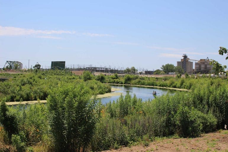 Don River Mouth Naturalization and Port Lands Flood Protection, Biidaasige Park. Image of diverse vegetation surrounding a waterway.