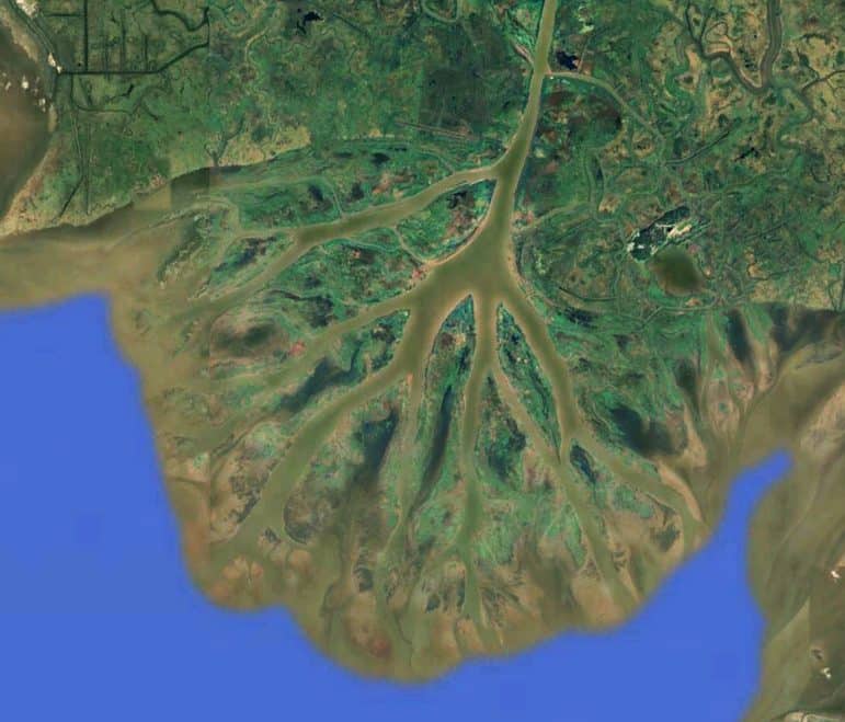 Wax Lake Delta complex. Aerial image from Google Earth.