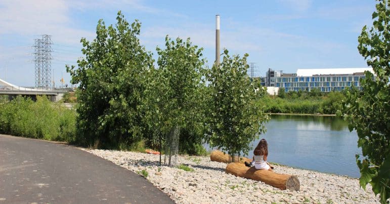 Don River Mouth Naturalization and Port Lands Flood Protection, Biidaasige Park. A person sitting at the water's edge surrounded by natural vegetation and wildlife habitat with city development in the foreground.
