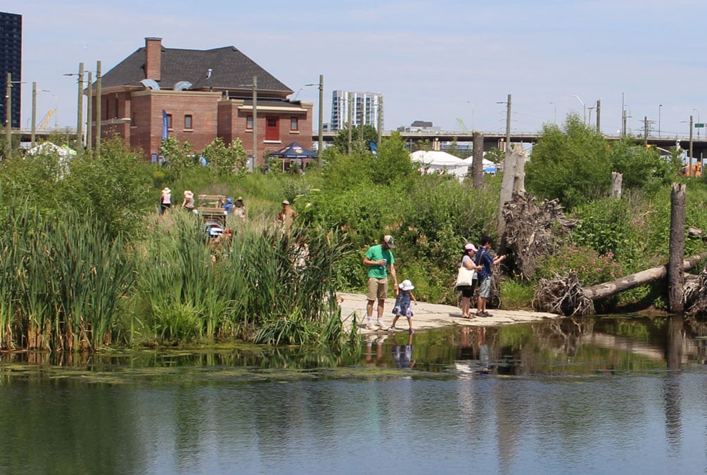 Don River Mouth Naturalization and Port Lands Flood Protection, Biidaasige Park. People gather at the water's edge surrounded by natural vegetation and wildlife habitat with city development in the background.