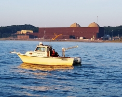 316(b) Permit Compliance Support for the Donald C. Cook Nuclear Power Plant