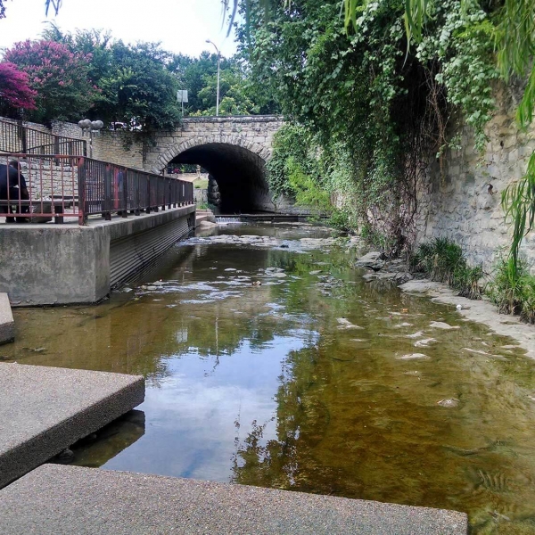 Photo of Waller Creek with a bridge in the background, steps leading to the water, and vegetation falling over rock walls.