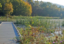 Volumetric Water Benefit Accounting (VWBA)