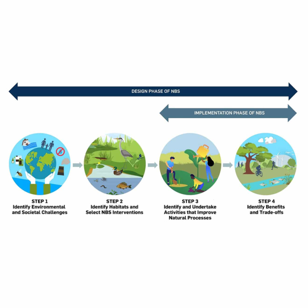 NatureBased Solutions Benefits Explorer Tool LimnoTech