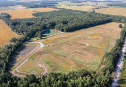 Wetland Demonstration To Improve Great Lakes Tributary Water Quality