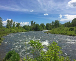 Count Down for the Release of Volumetric Water Benefit Accounting 2.0 and Water Quality Benefit Accounting!